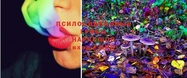 эйфоретик Балахна