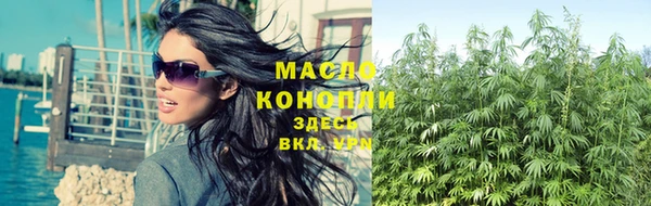 сатива Баксан