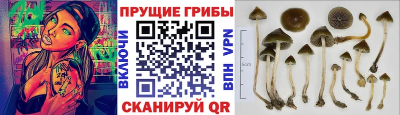 площадка телеграм  Верхний Тагил  Псилоцибиновые грибы MAGIC MUSHROOMS 